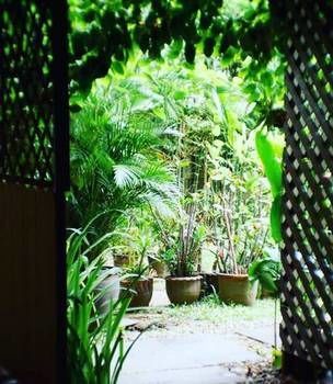 Sukhothai House Chiang Mai Buitenkant foto